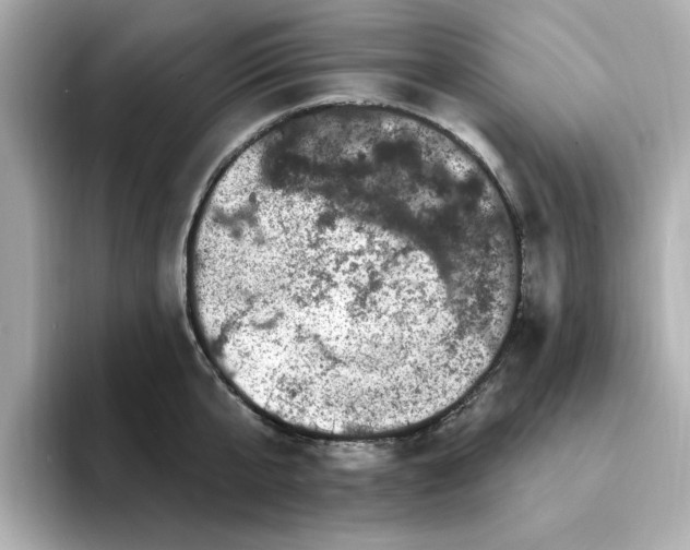 X0000095130807200712211329