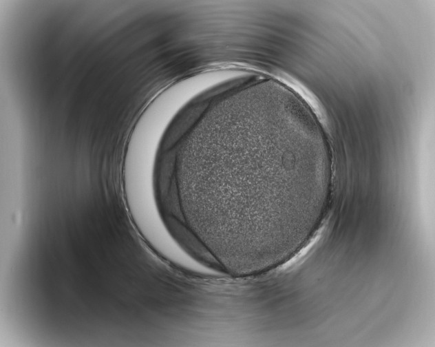 X0000095130809200712211328