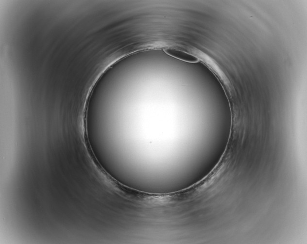 X0000095130810200712211328