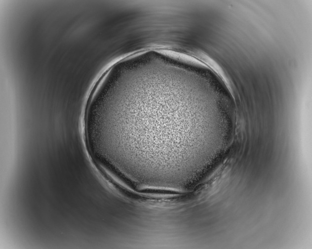 X0000095130811200712211328