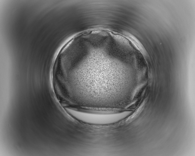 X0000095130812200712211328