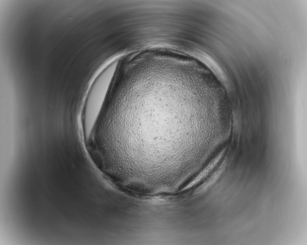 X0000095130814200712211328