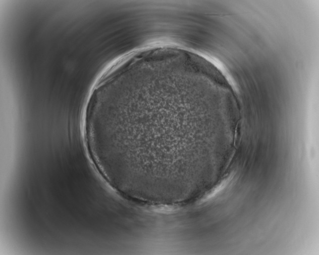 X0000095130815200712211328