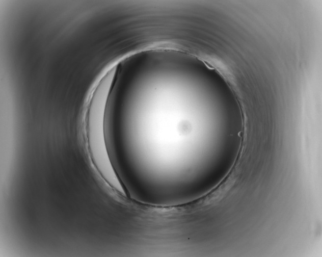 X0000095130816200712211328