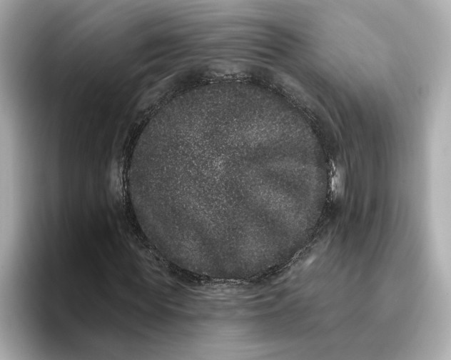 X0000095130819200712211328