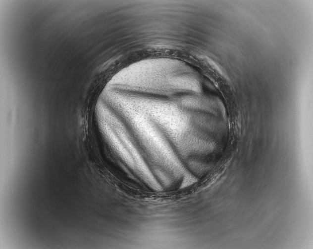 X0000095130821200712211328