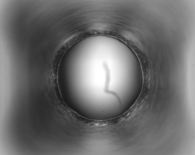 X0000095130822200712211328