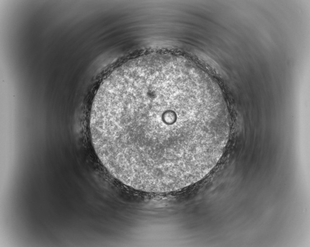 X0000095130824200712211328