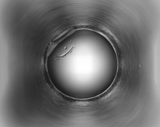 X0000095130825200712211328