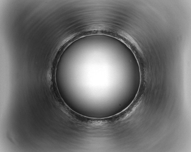 X0000095130826200712211328