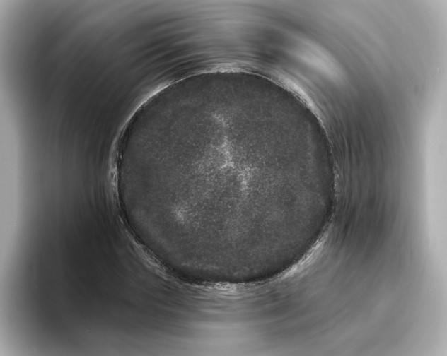 X0000095130827200712211328