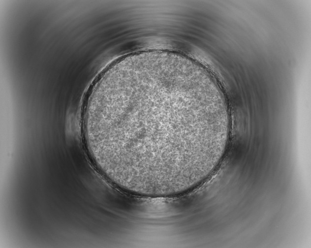 X0000095130828200712211328