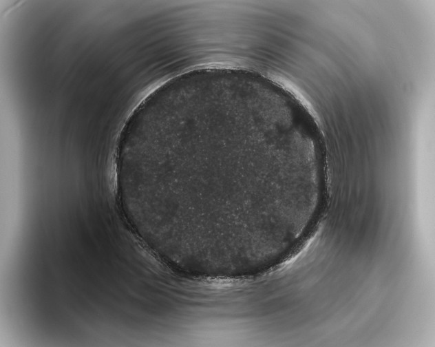 X0000095130829200712211328