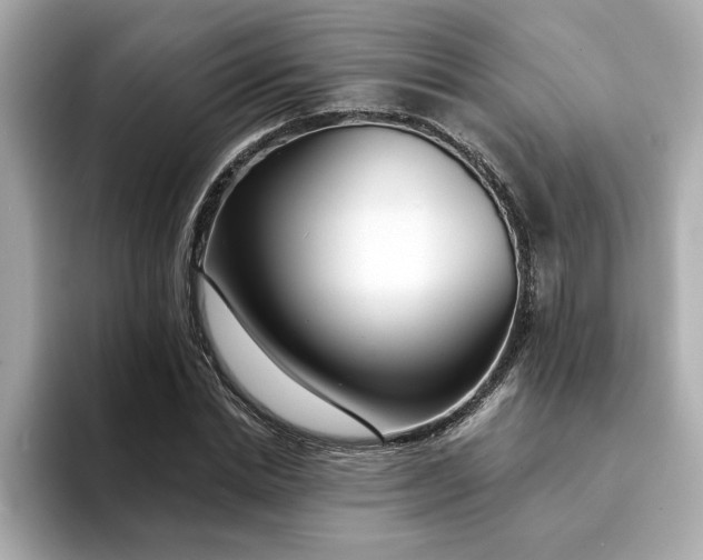 X0000095130830200712211328