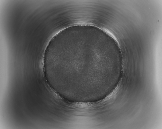 X0000095130831200712211328