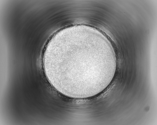 X0000095130832200712211328