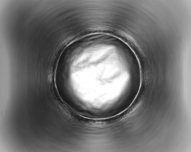 X0000095130833200712211328