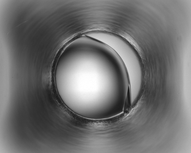 X0000095130834200712211328