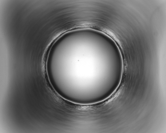 X0000095130835200712211328