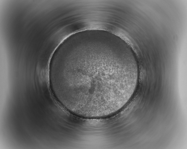 X0000095130836200712211328