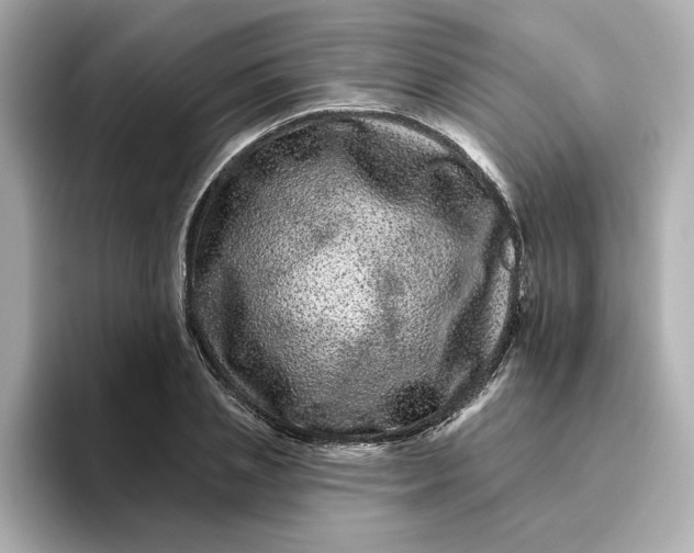 X0000095130837200712211328