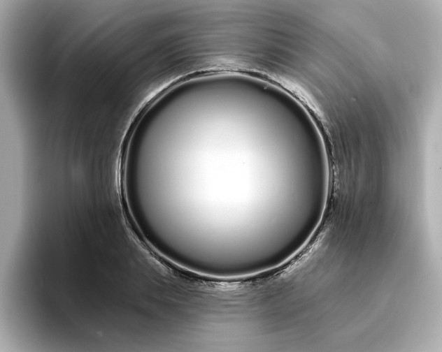 X0000095130839200712211328