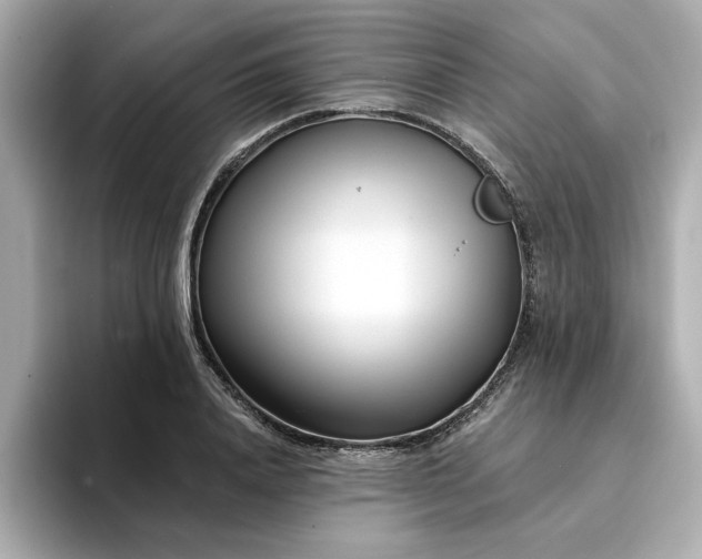 X0000095130840200712211328