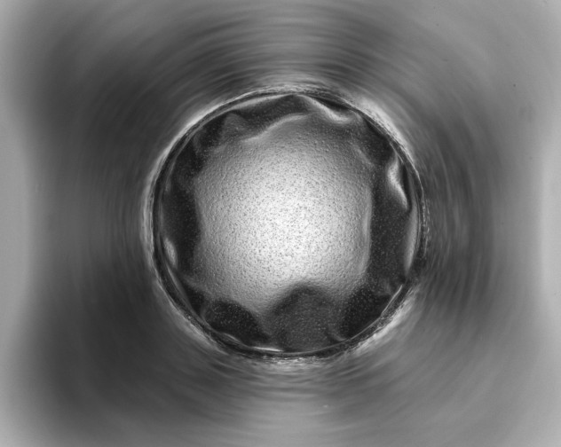 X0000095130843200712211328