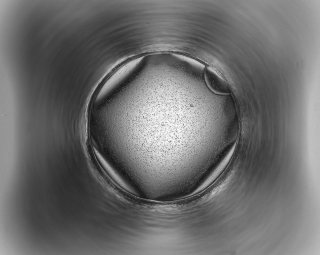 X0000095130844200712211328