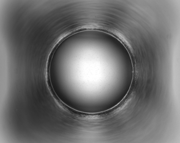 X0000095130845200712211328