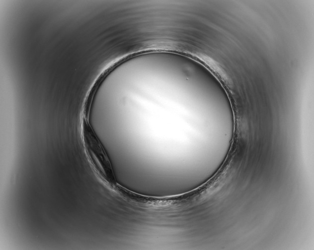 X0000095130846200712211328