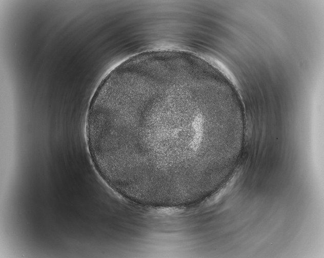 X0000095130847200712211328