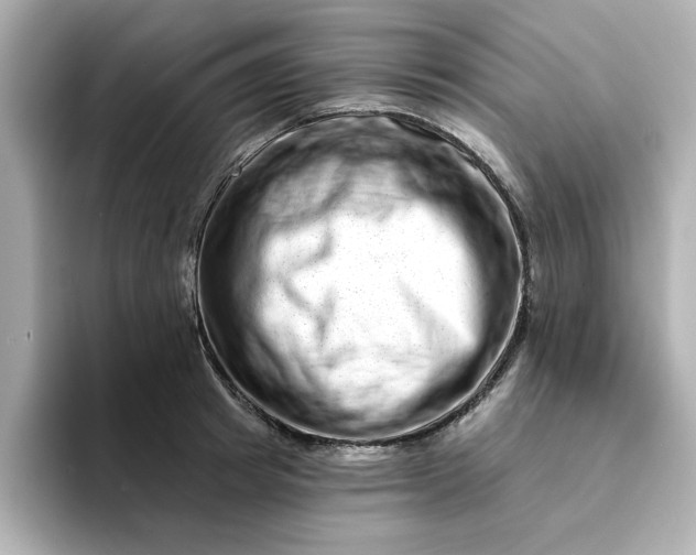 X0000095130849200712211328