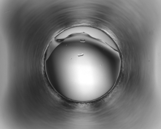 X0000095130850200712211328