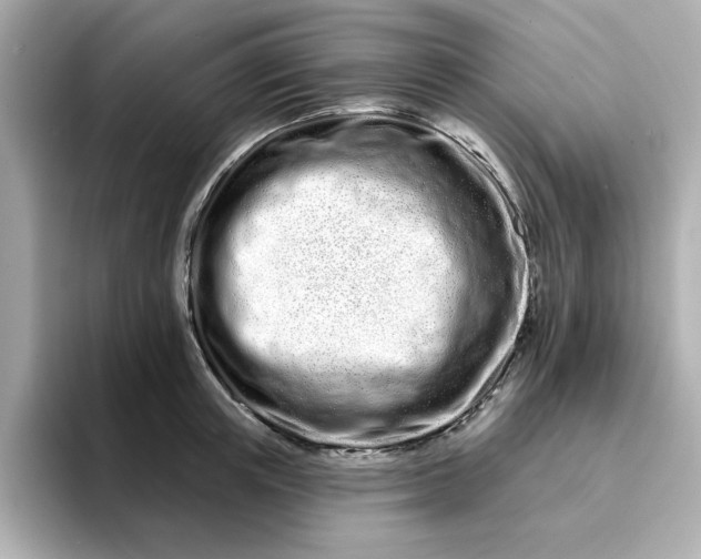 X0000095130851200712211328