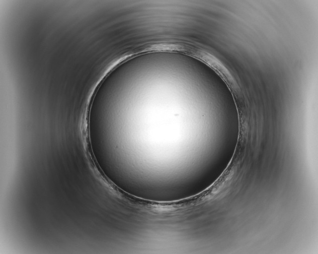 X0000095130852200712211328