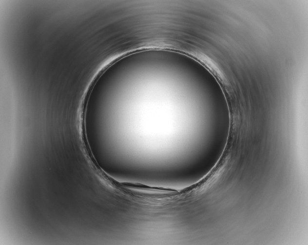 X0000095130854200712211328