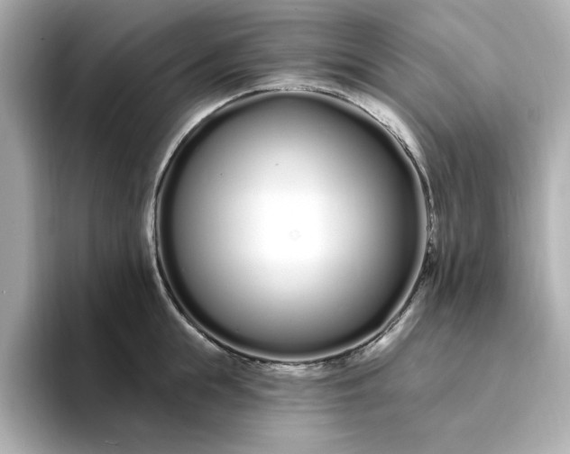 X0000095130855200712211328