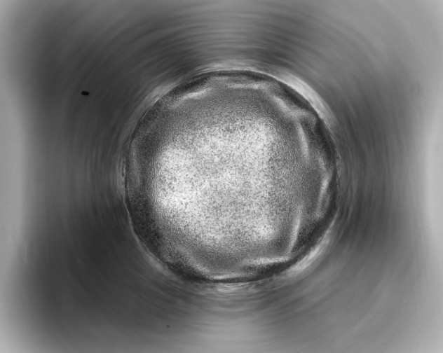 X0000095130857200712211328