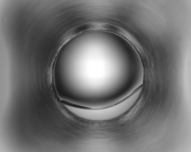 X0000095130858200712211328