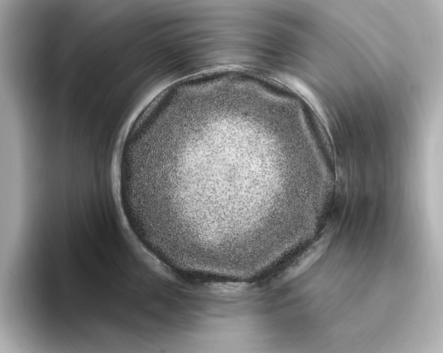 X0000095130859200712211328