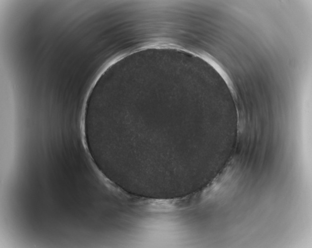 X0000095130861200712211328