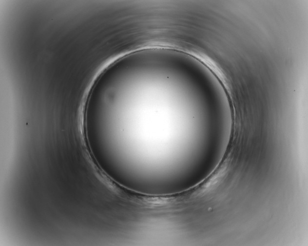 X0000095130862200712211328