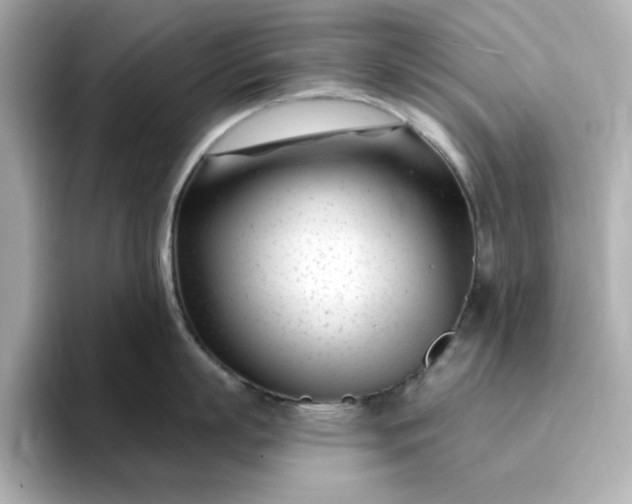 X0000095130863200712211328