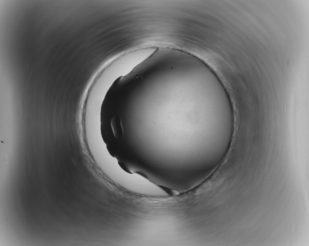 X0000095130864200712211328