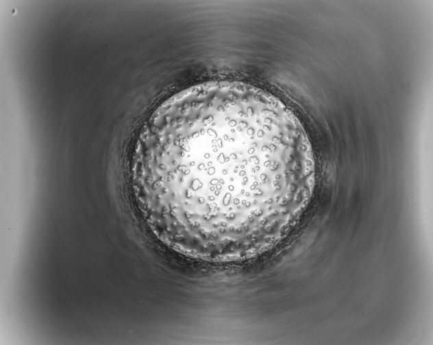 X0000095130865200712211328