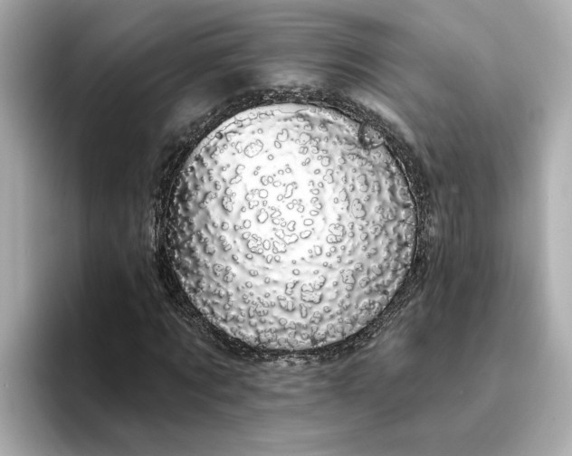 X0000095130869200712211328