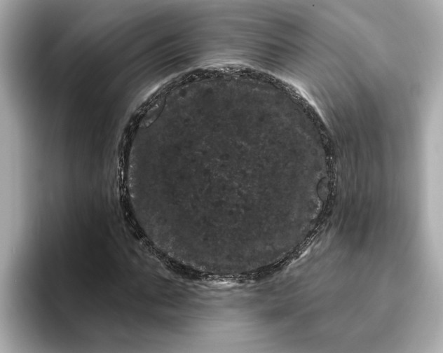 X0000095130871200712211328