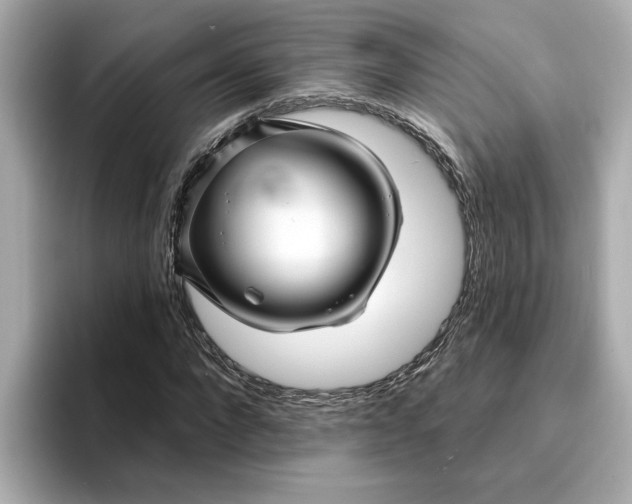 X0000095130872200712211328