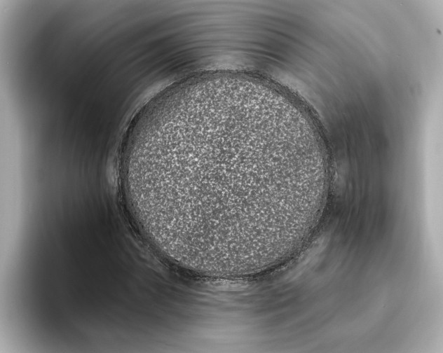 X0000095130874200712211328